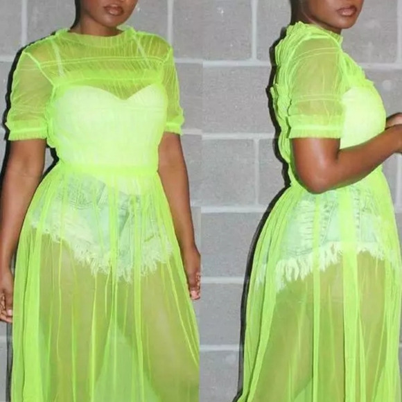 "See- Me Through Spring "Mesh Maxi Dress - Picture 2 of 3